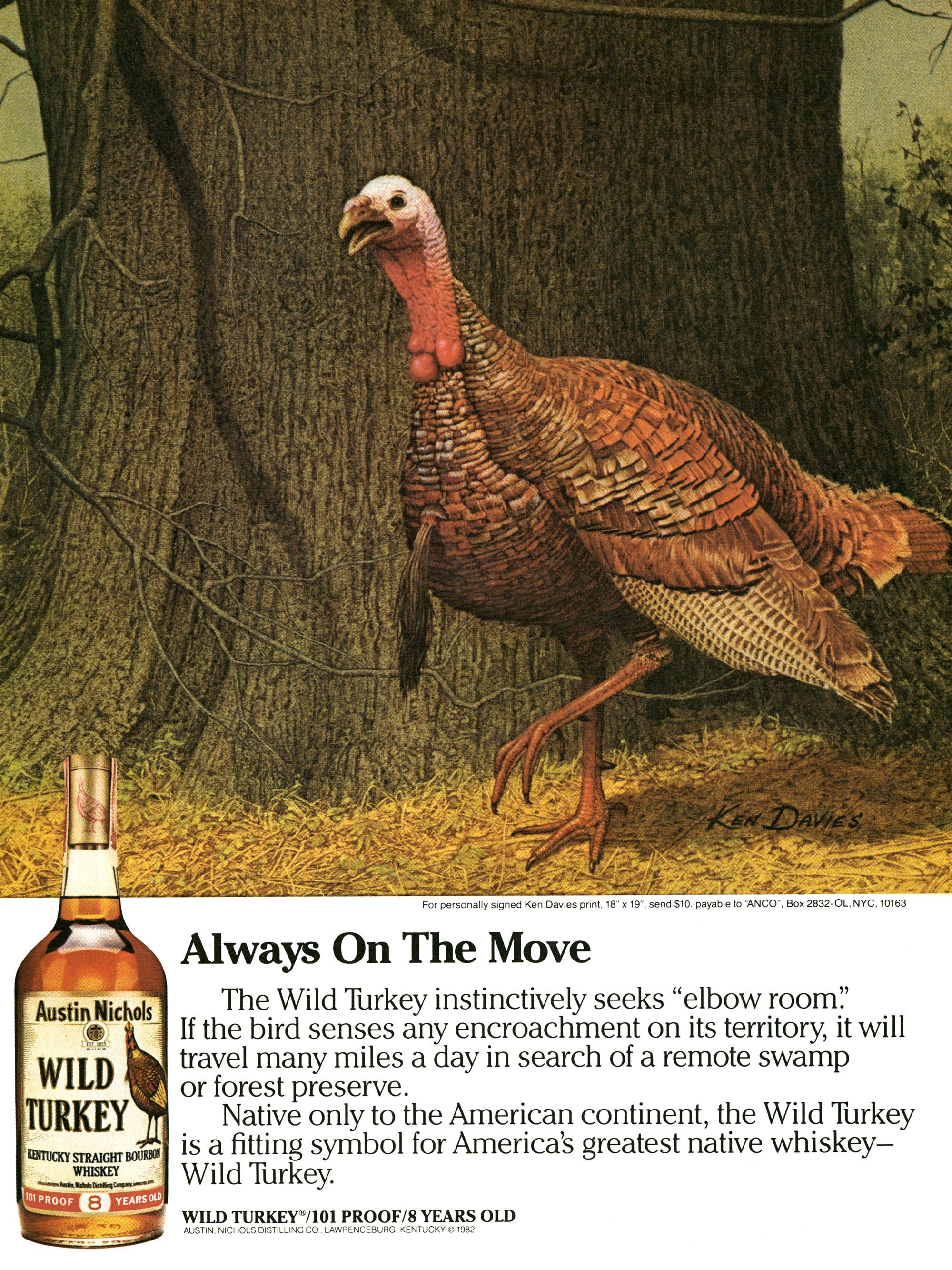 A Wild Turkey bourbon ad from Outdoor Life magazine.