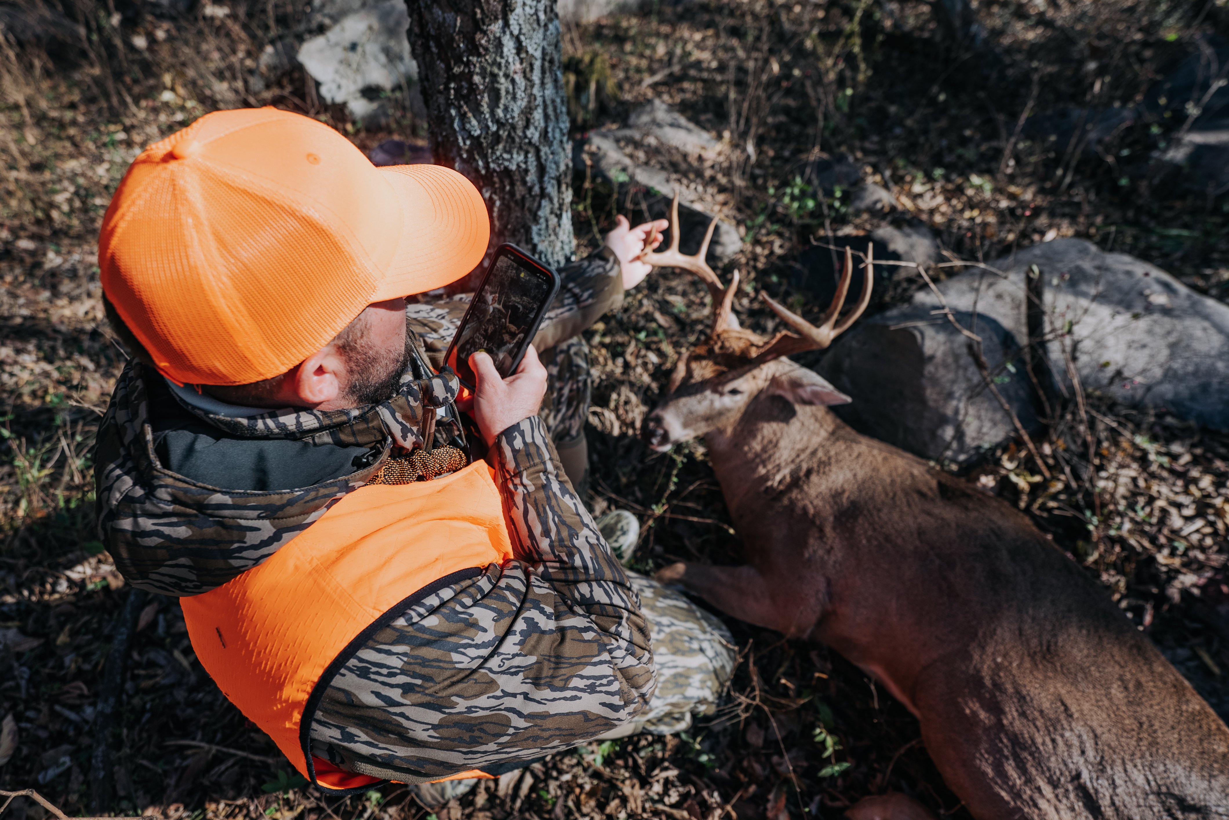 deer hunting