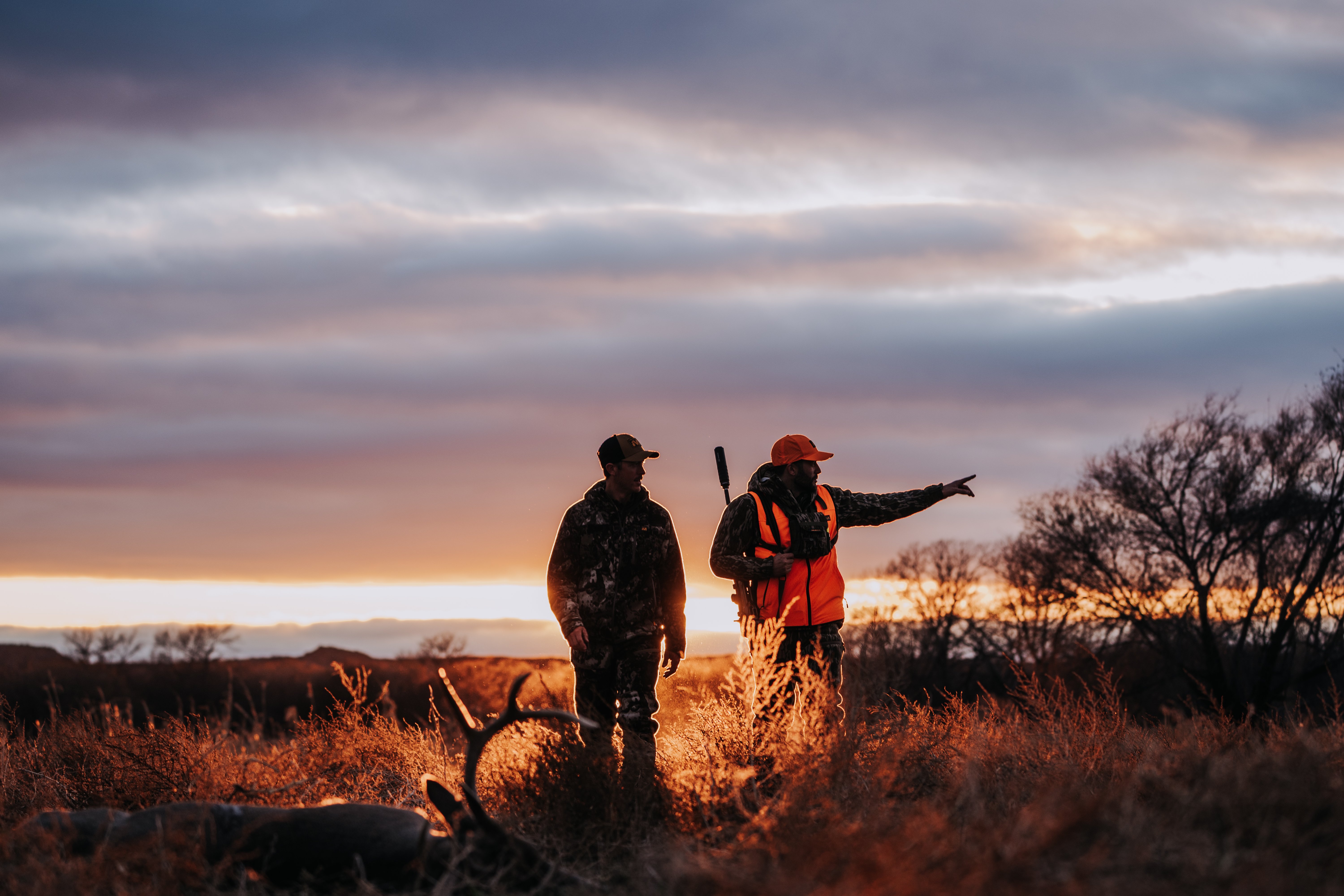 whitetail deer hunting