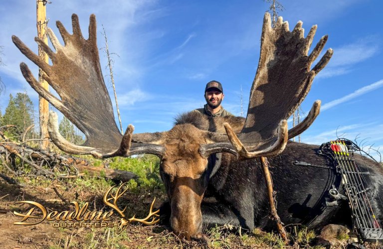 The pending world-record shiras moose