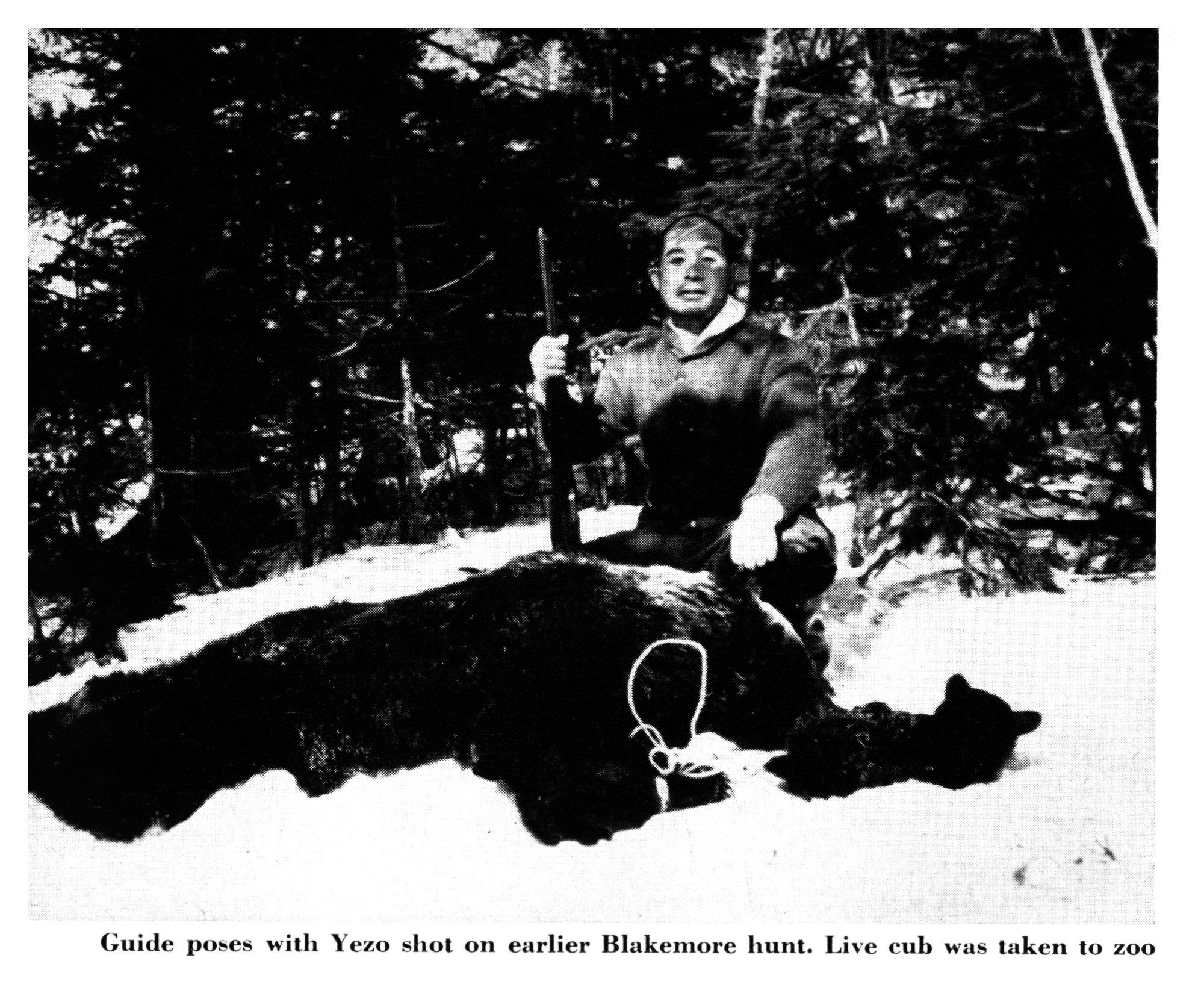 A hunting guide kneels in deep snow behind a large dead Yezo brown bear, holding a bolt-action rifle upright, with a bear cub lying in the snow beside him.
