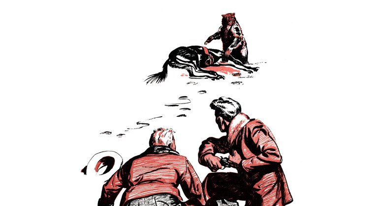 bear and cowboys