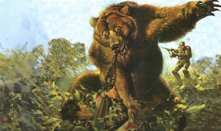 grizzly bear attack