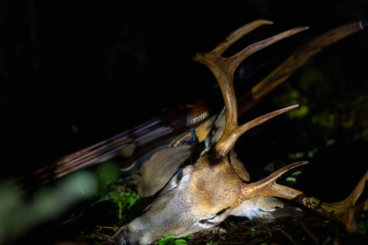 How I Beat Bowhunting Buck Fever and Snapped My Big Buck Losing Streak
