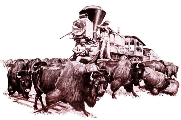 buffalo shooting