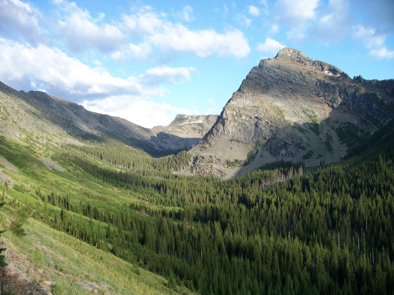 A photo of a mountain and timber in northwest Montana.