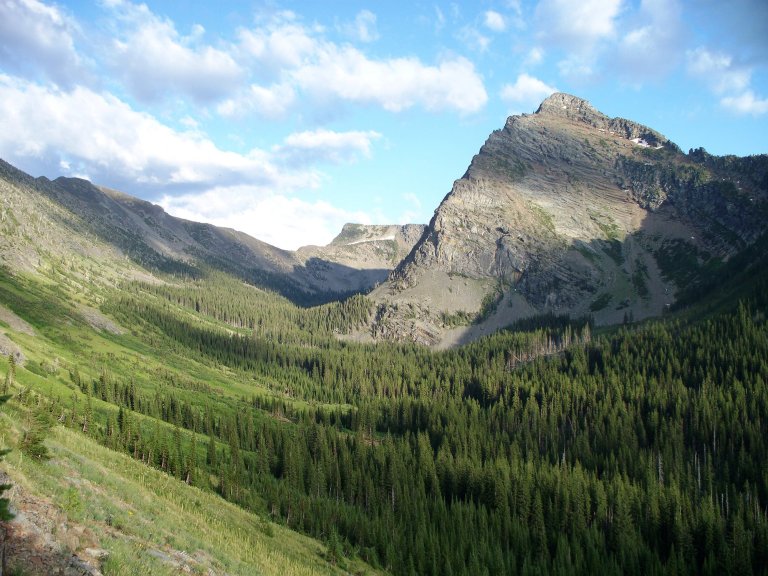 A photo of a mountain and timber in northwest Montana.