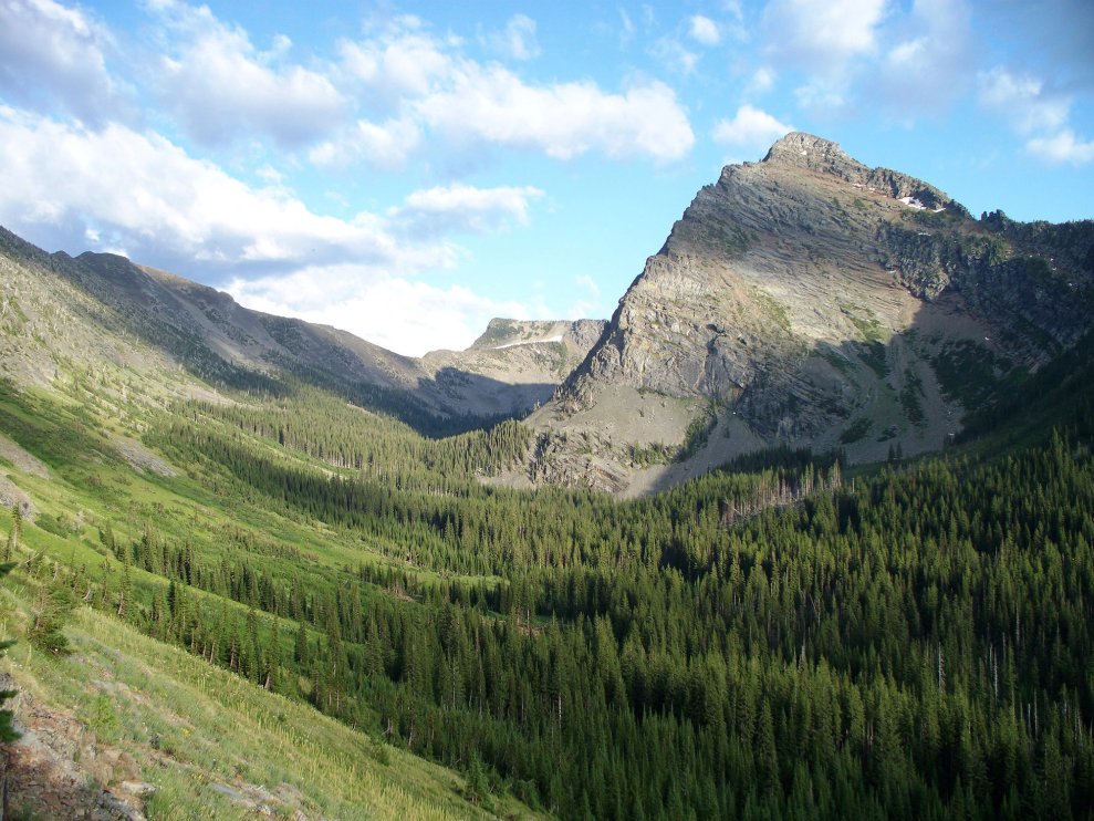 Public Hunting Access Secured on 20,000 Acres of Private Timber Land in $29 Million Deal