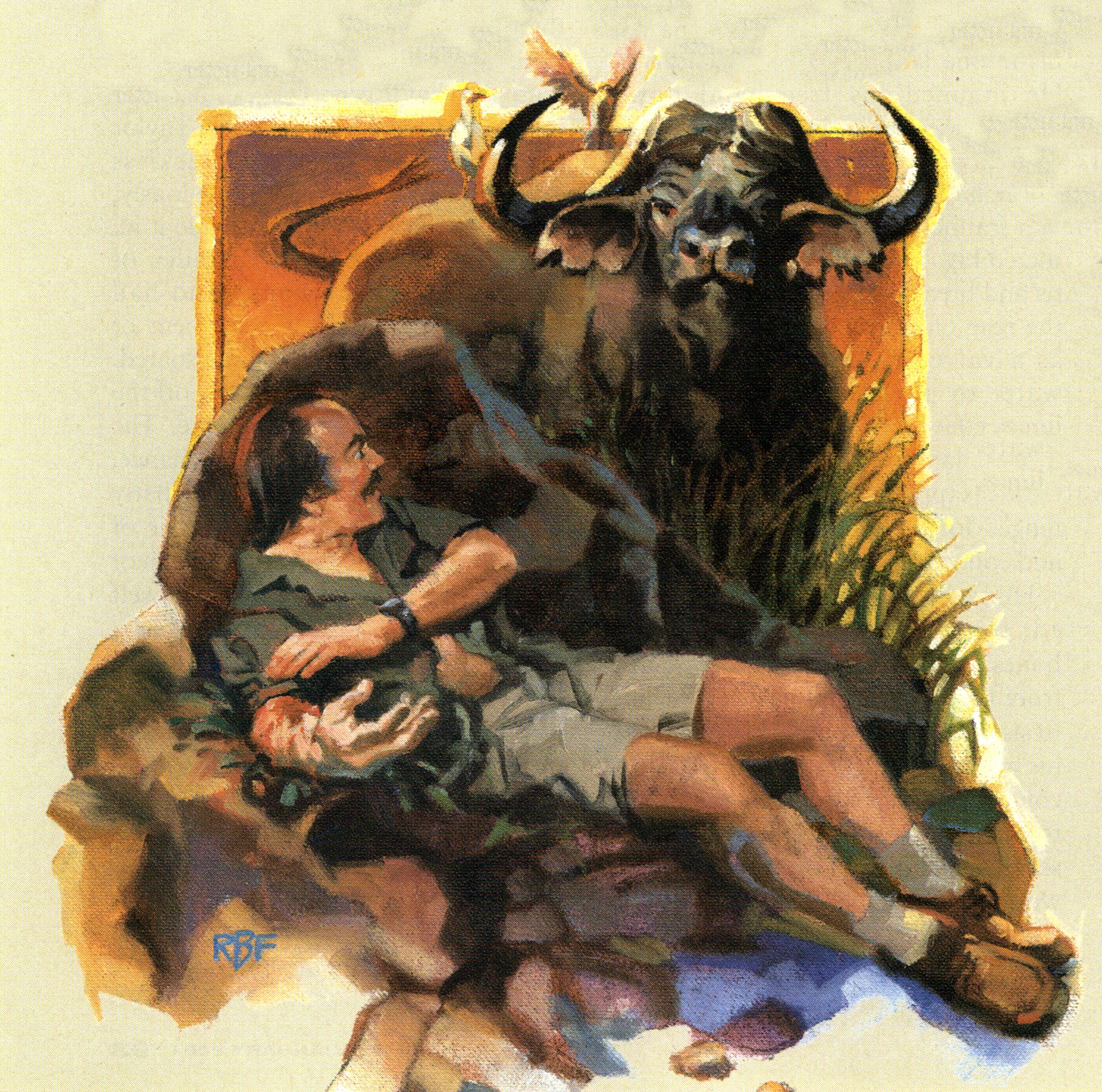 cape buffalo