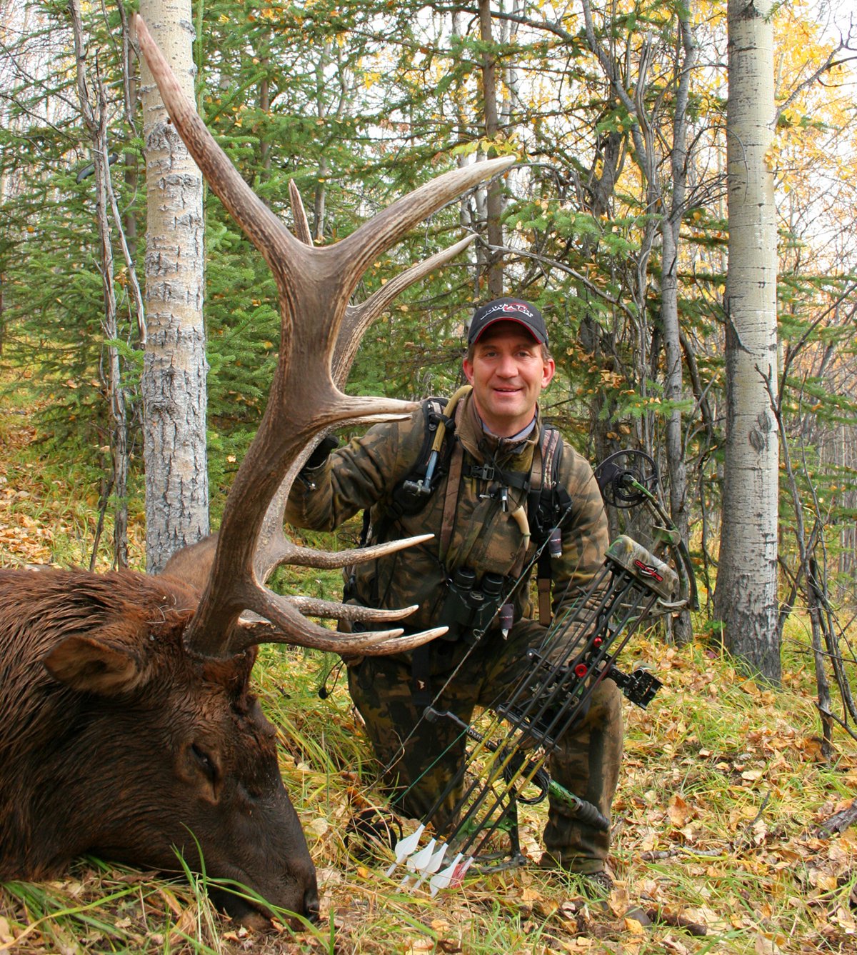 elk hunting