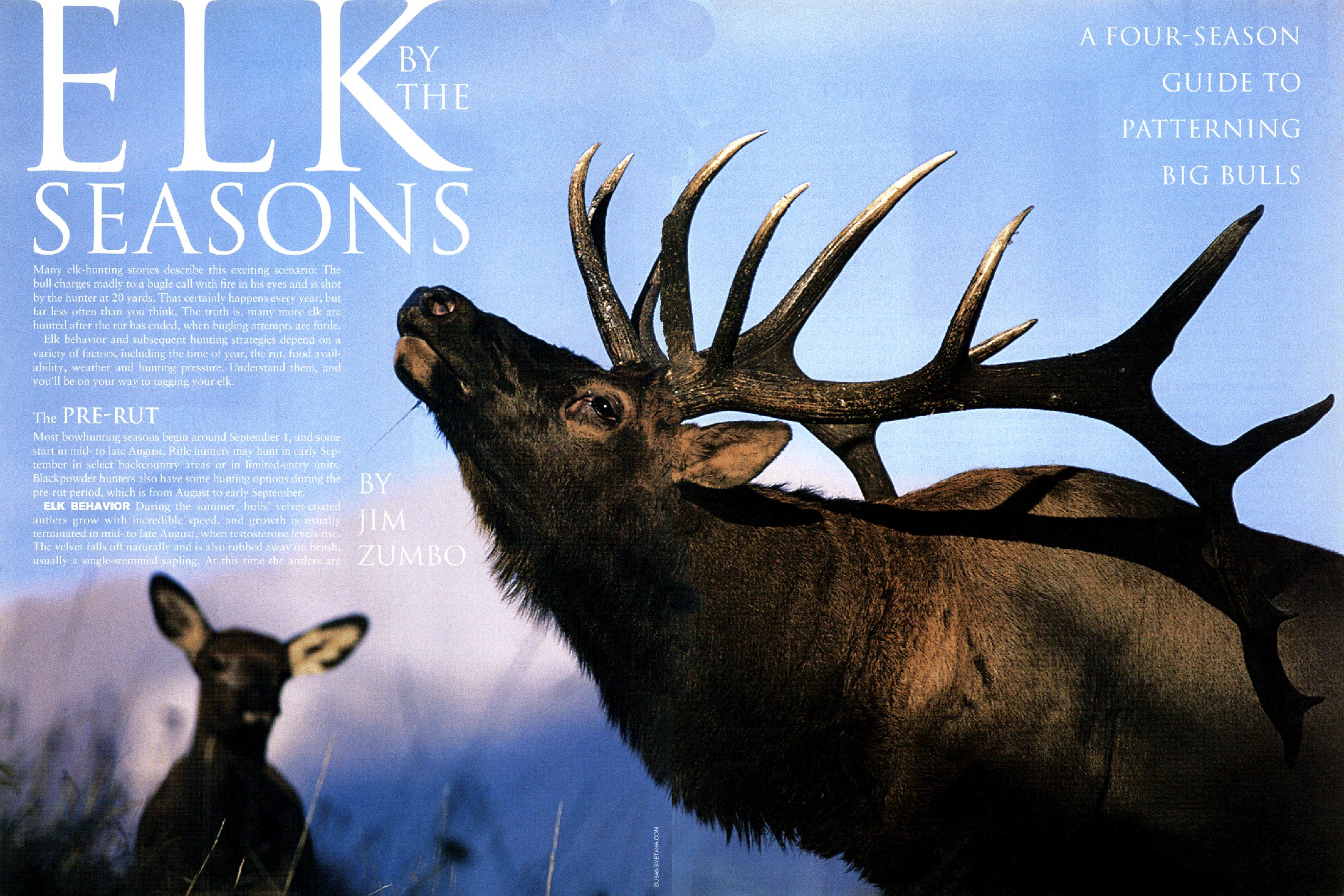 elk hunting
