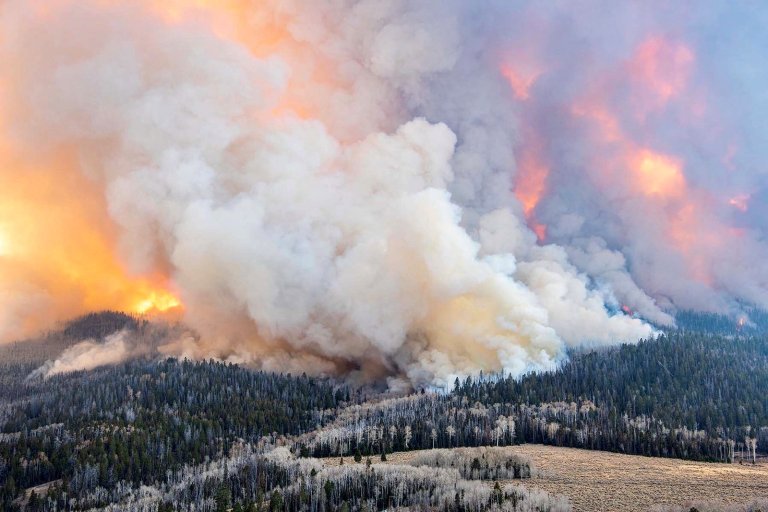 A prescribed fire