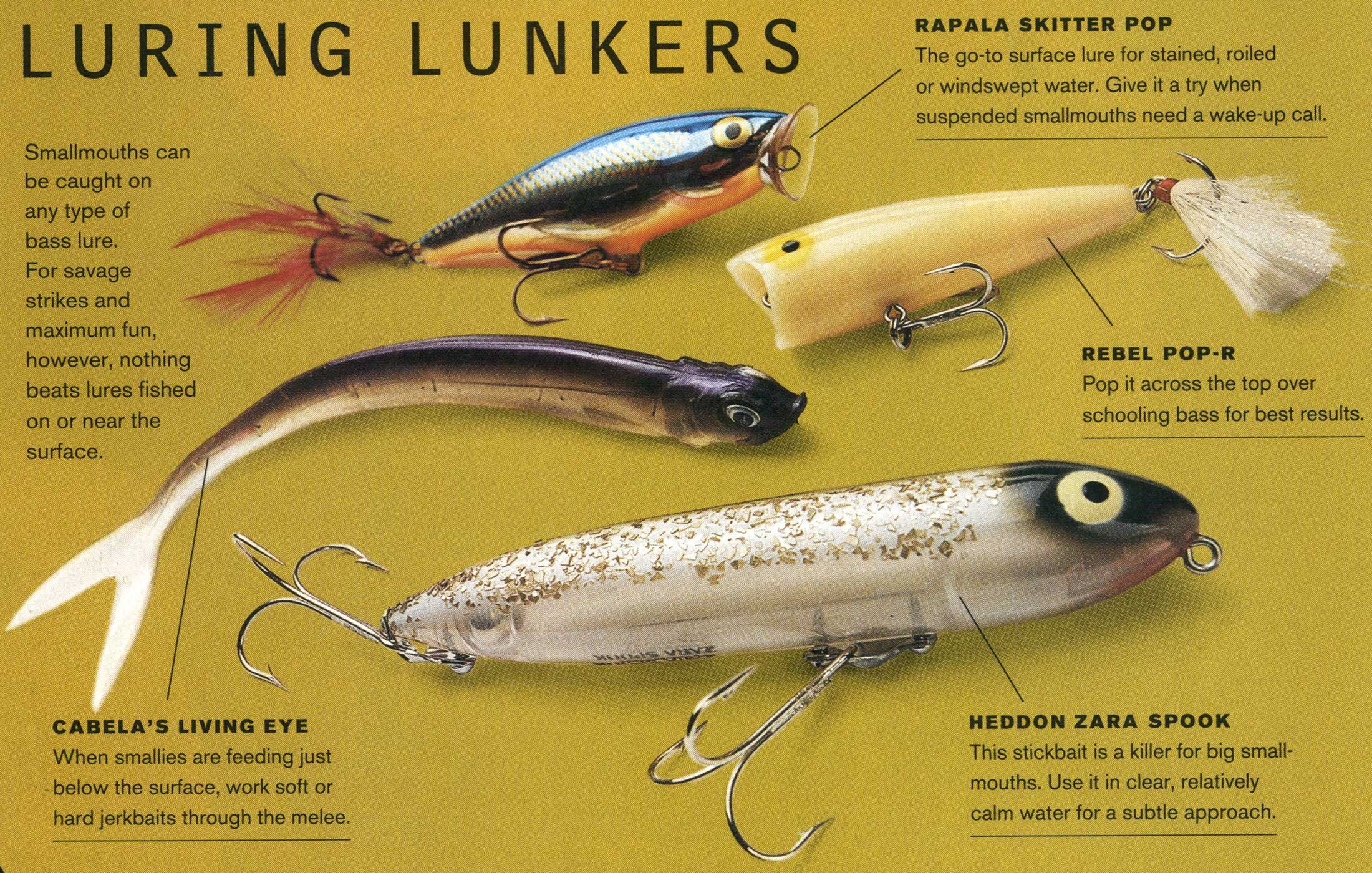 traditional bass lures