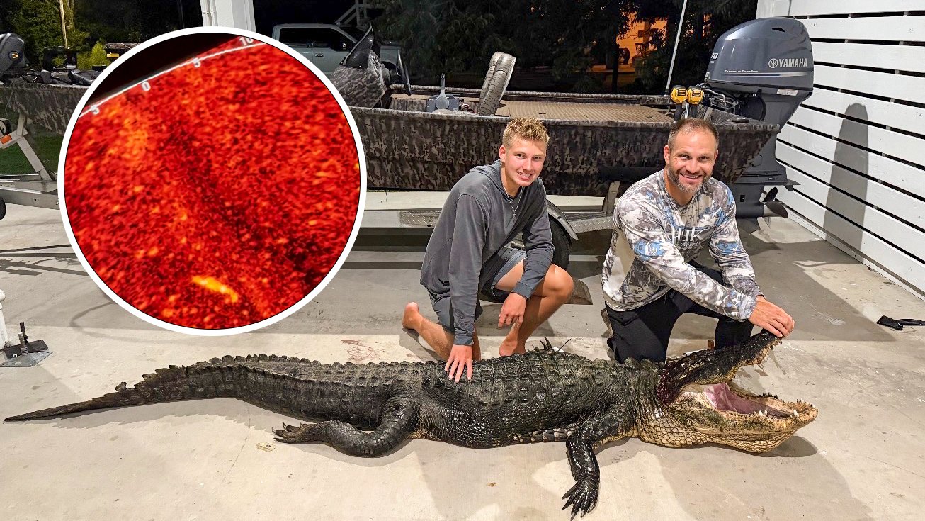 A son and father with a big gator and livescope