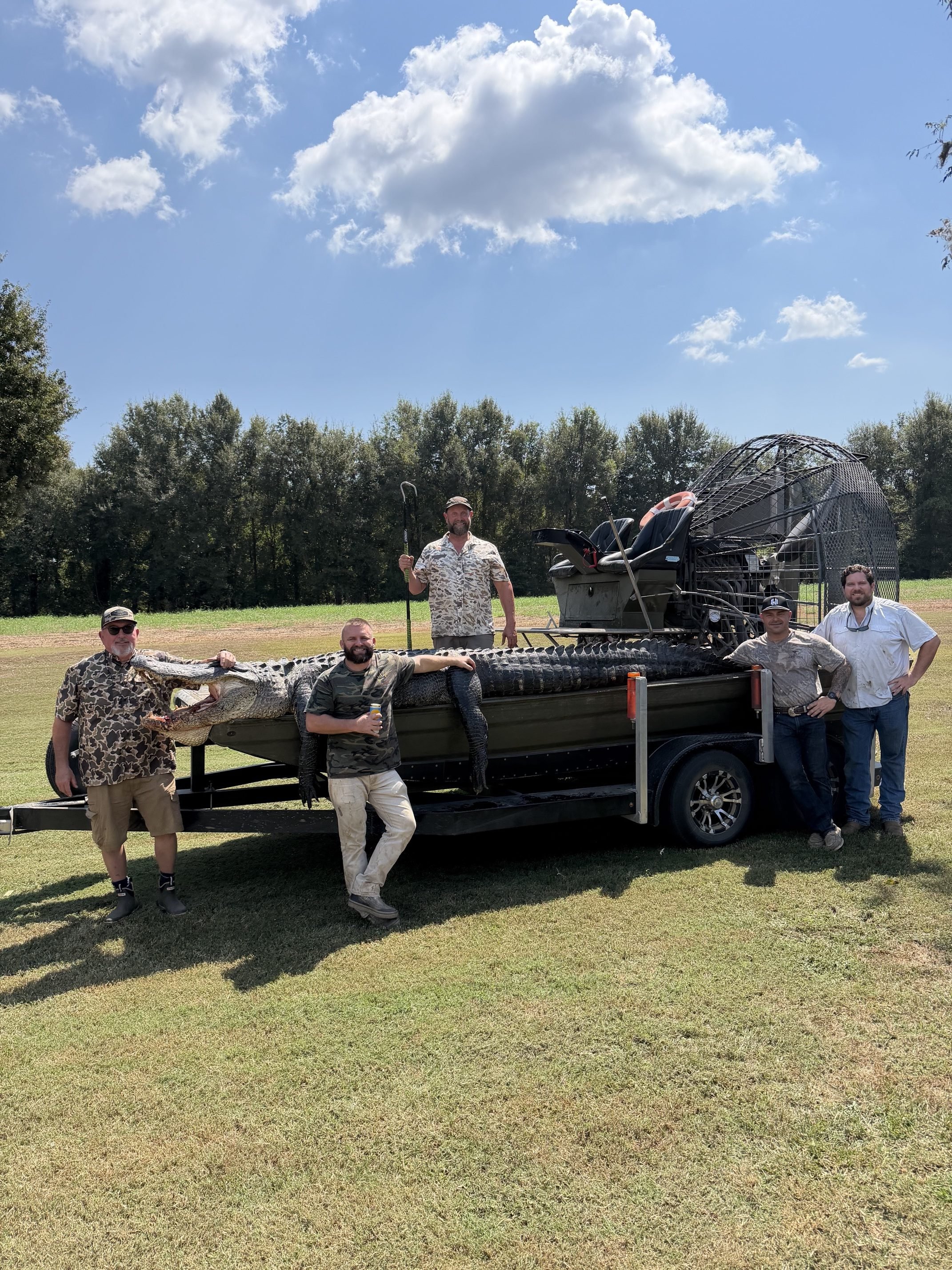 big louisiana alligator