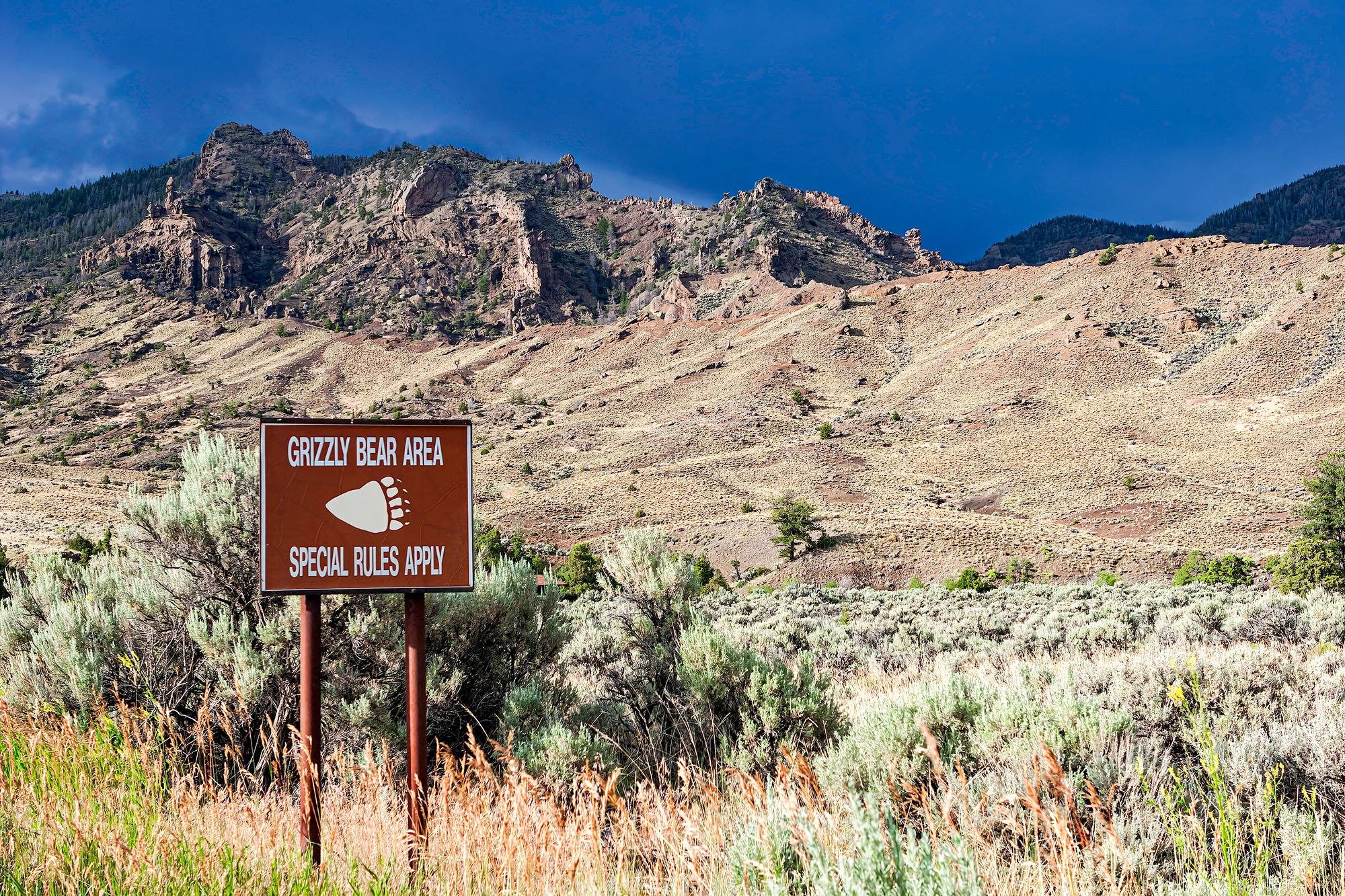 Desert mountain landscape, storm clouds and a grizzly bear warning sign in northwestern Wyoming, USA.