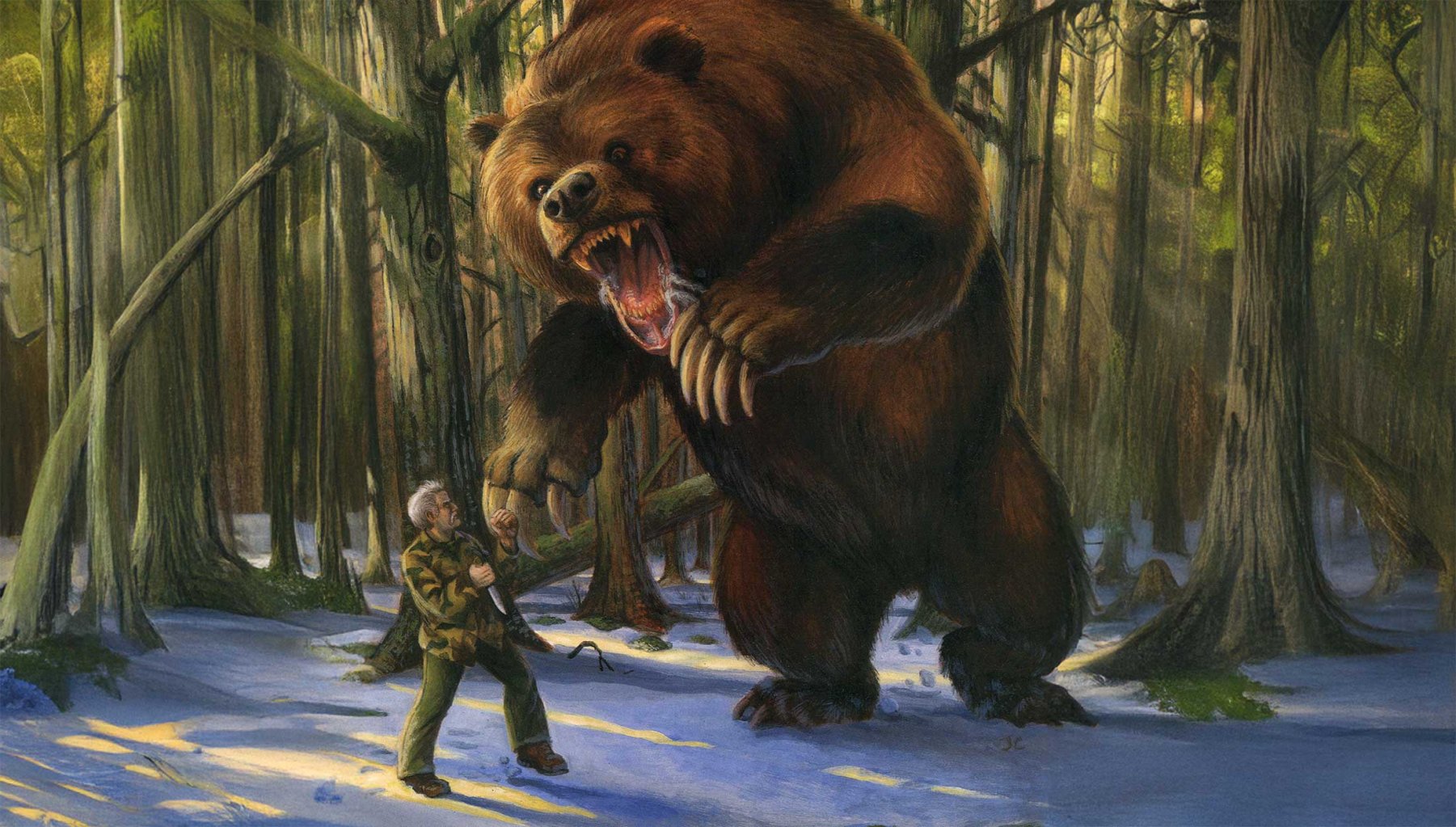grizzly bear illustration