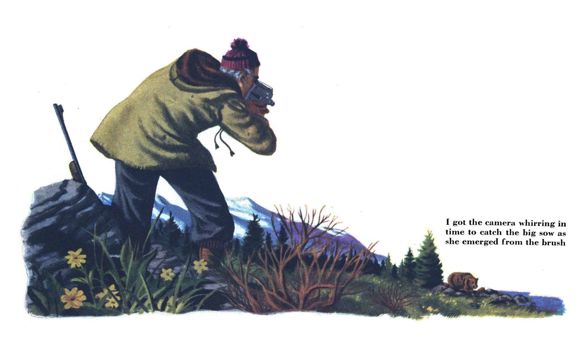 An illustration of a man filming a brown bear.