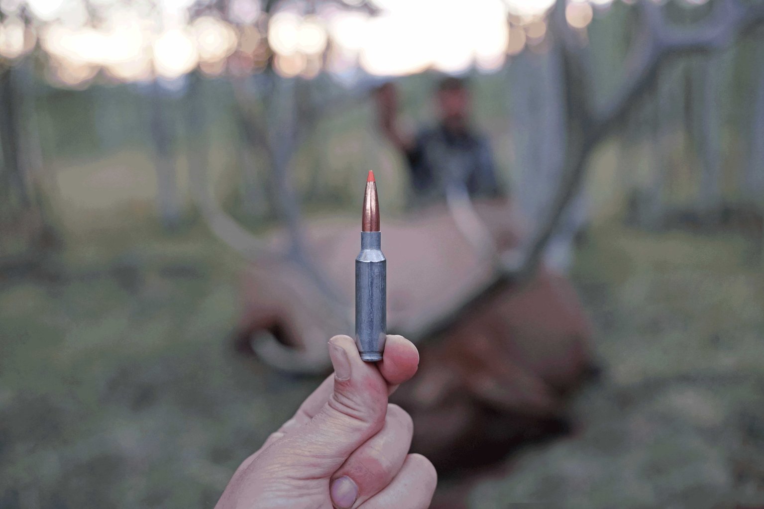 federal plus peak ammo