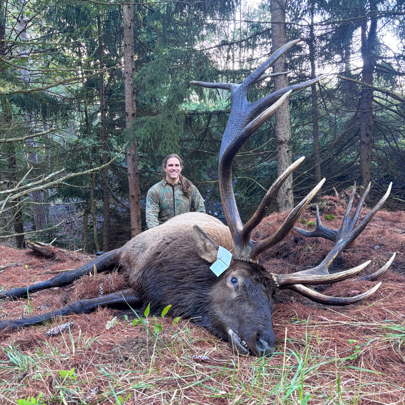 Skvarla with a big bull elk.