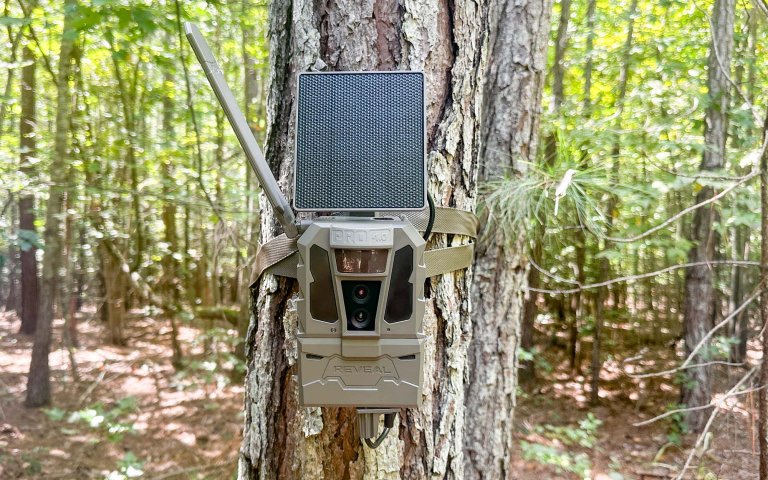Tactacam Reveal Pro 4.0 Solar mounted on a tree along a logging road, solar panel angled toward open sky