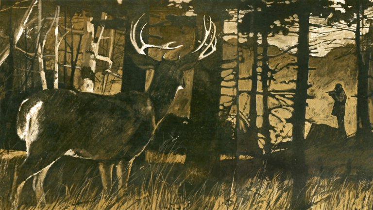An illustration of a big whitetail deer in a yellow woods and a hunter in the background.
