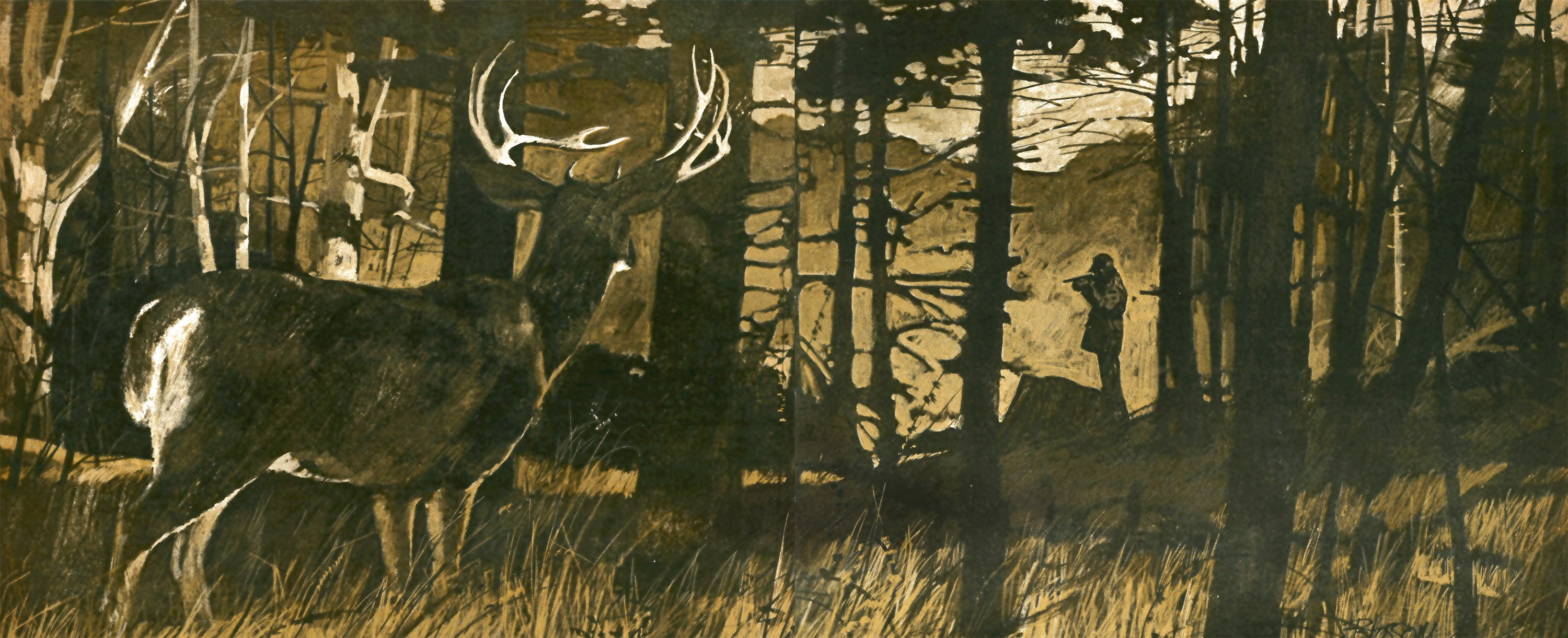 An illustration of a big whitetail deer in a yellow woods and a hunter in the background.
