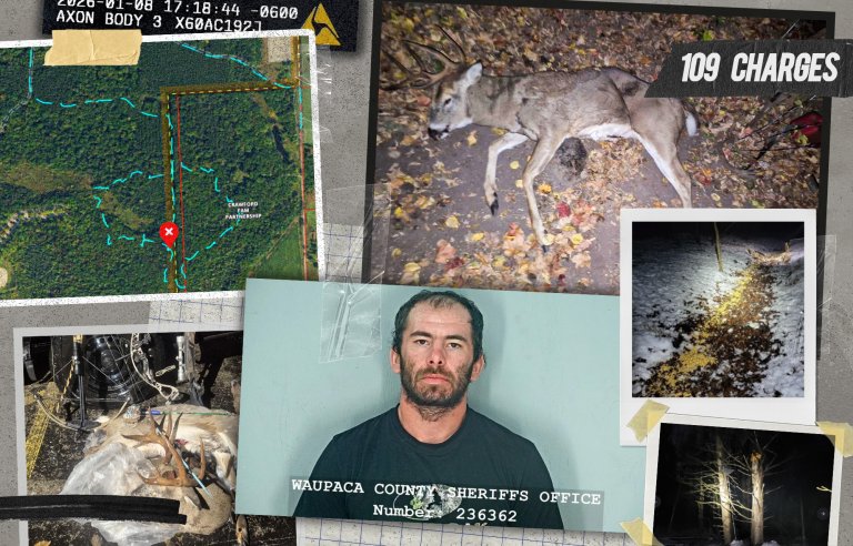 Dylan Wolff poaching case