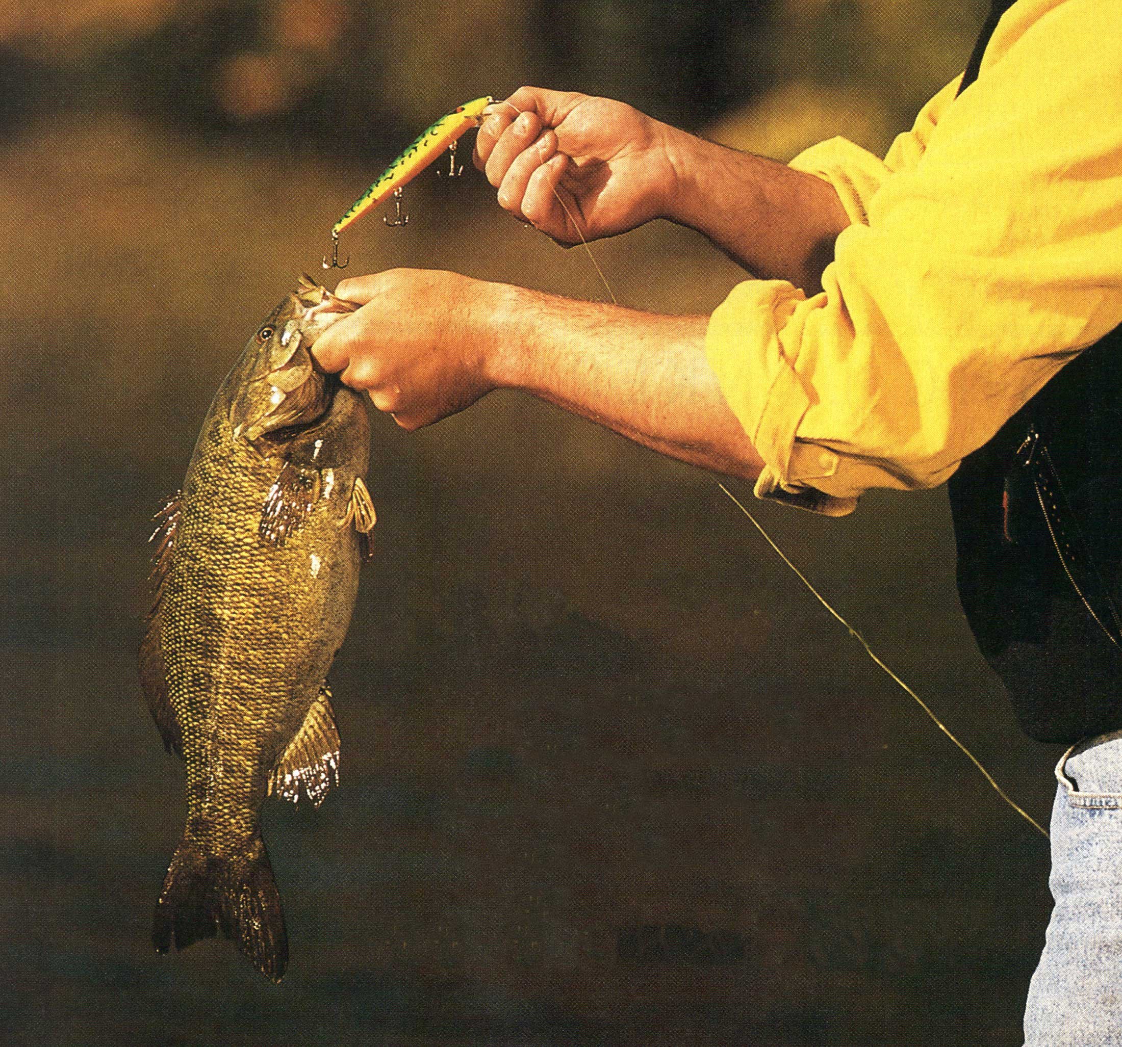 smallmouth bass