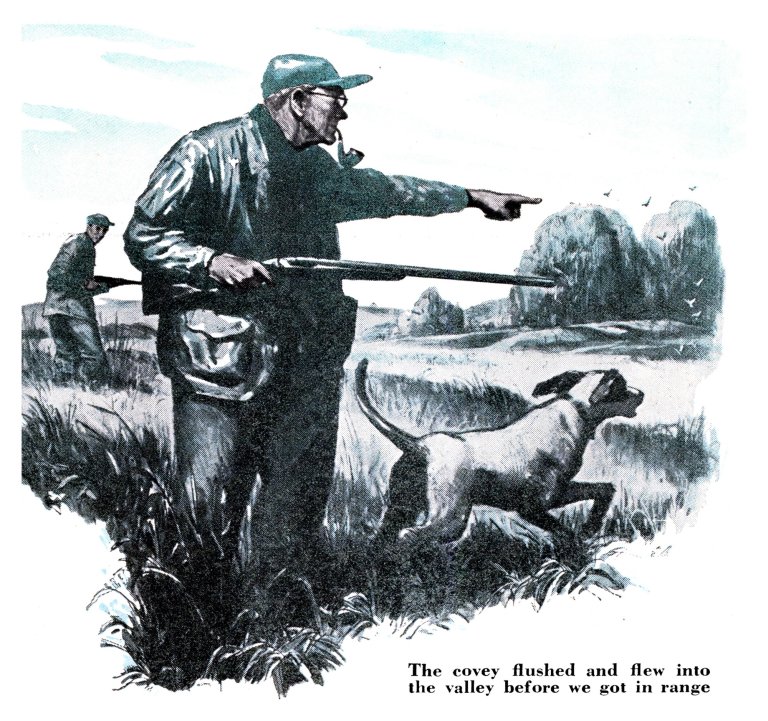 Vintage illustration of an elderly quail hunter with a pipe and double-barrel shotgun pointing across a field as his pointer runs ahead and a second hunter follows.