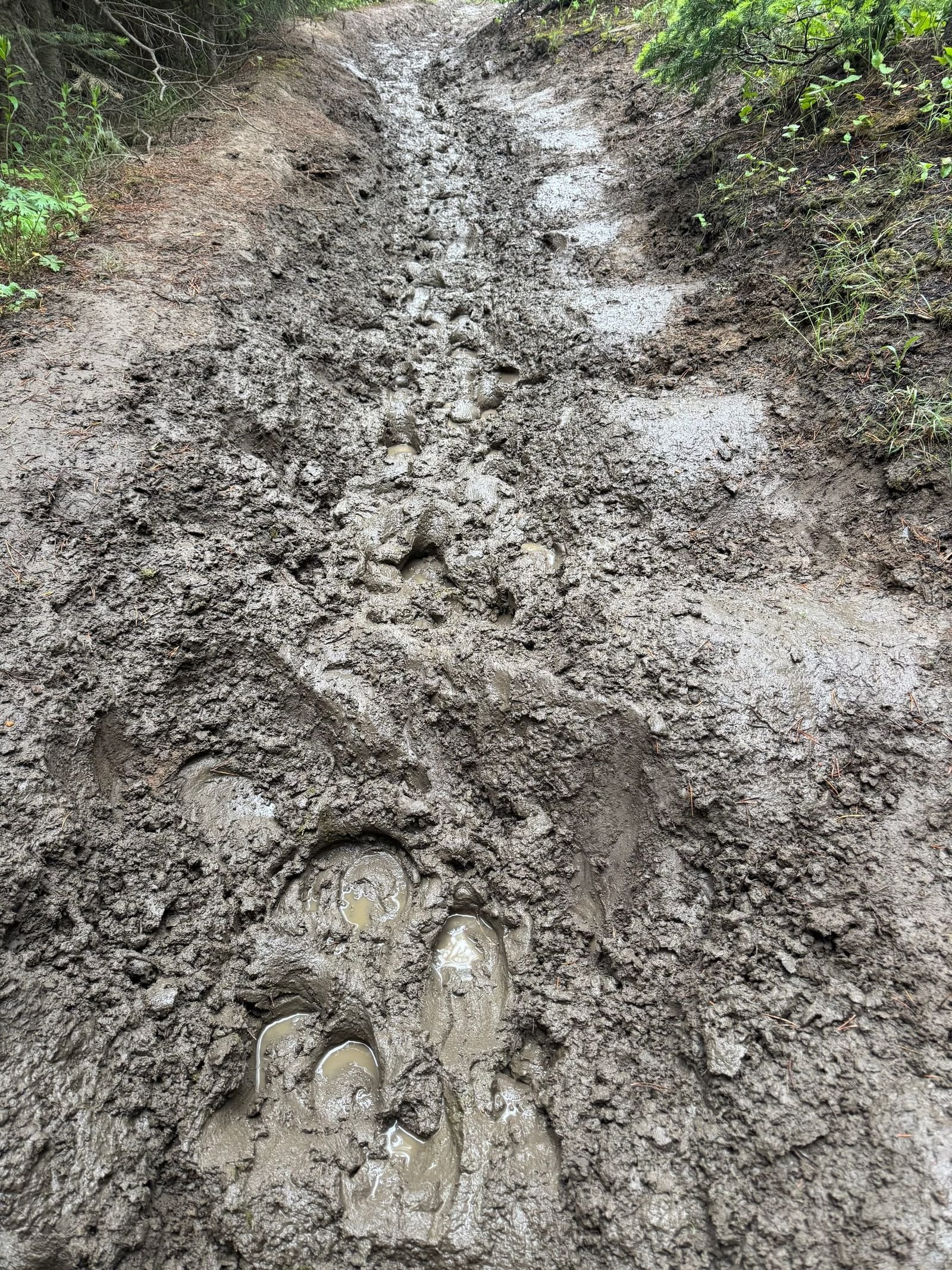 thorofare trail