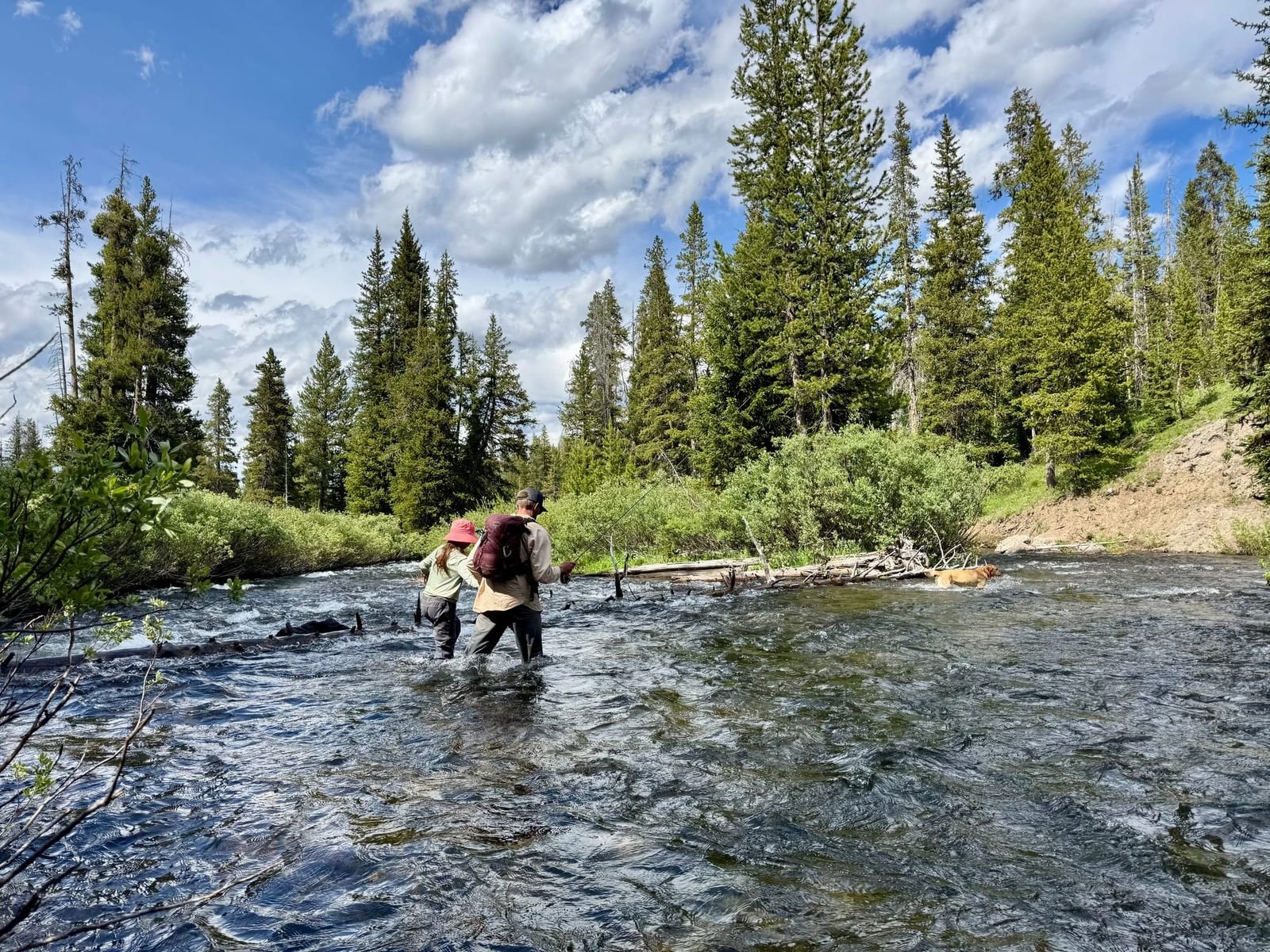 anglers crossing a creek