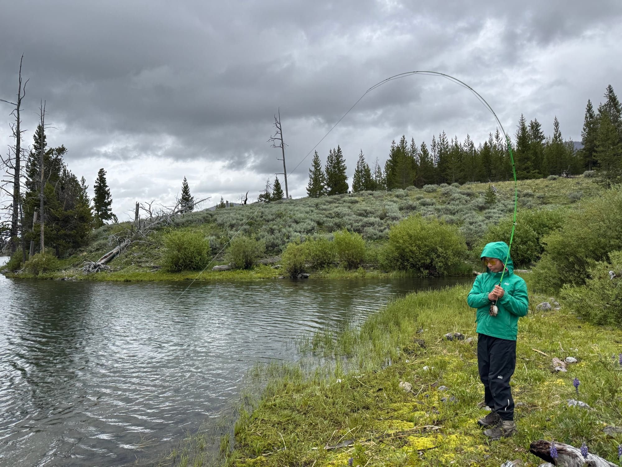 catching yellowstone cutthroat