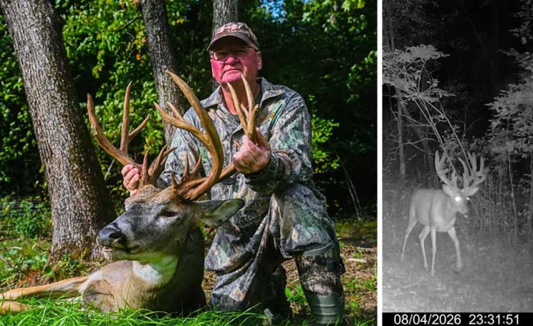 wi crossbow buck