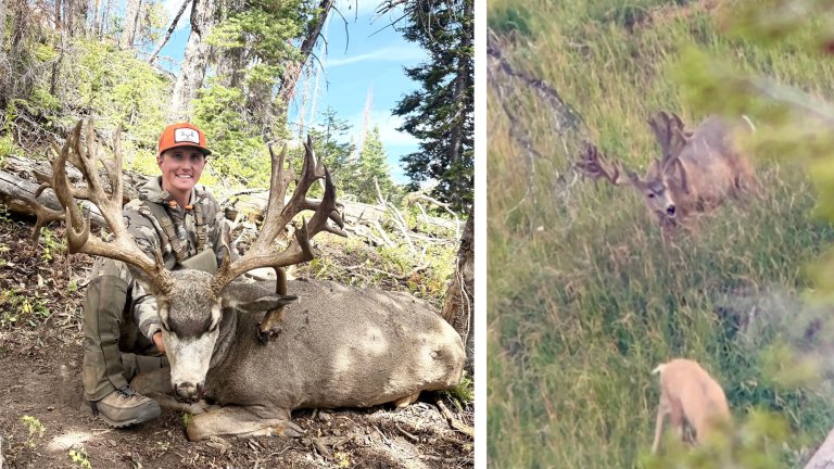 A potential new state record Wyoming mule deer.