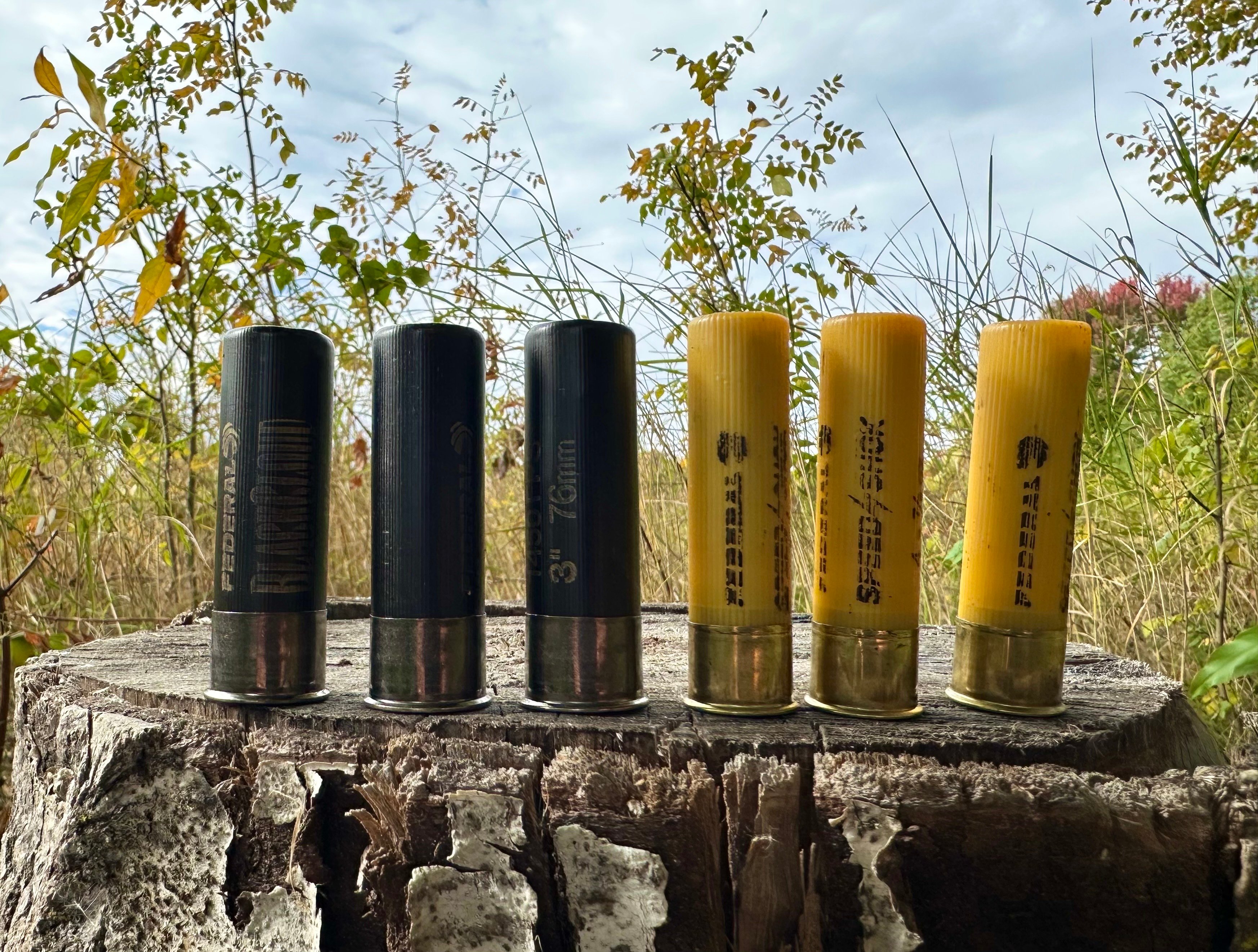 20 gauge duck ammo