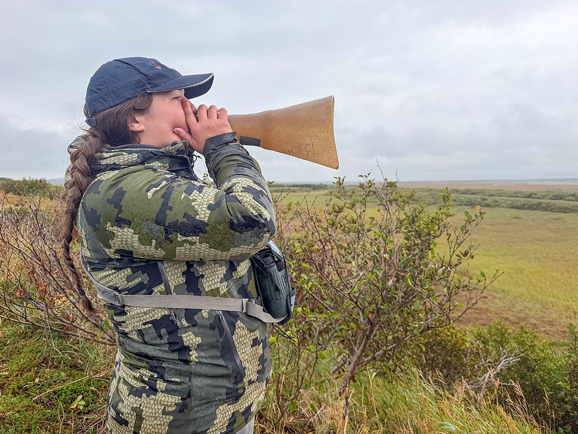 calling moose