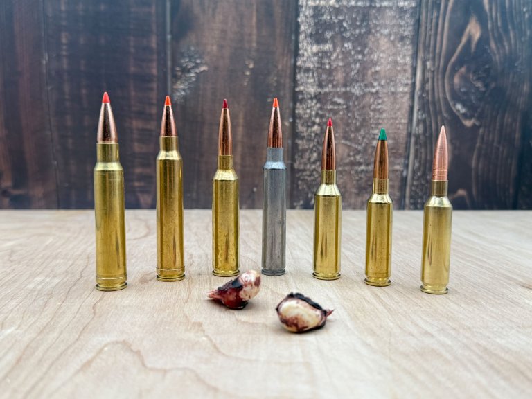 modern and classic elk cartridges