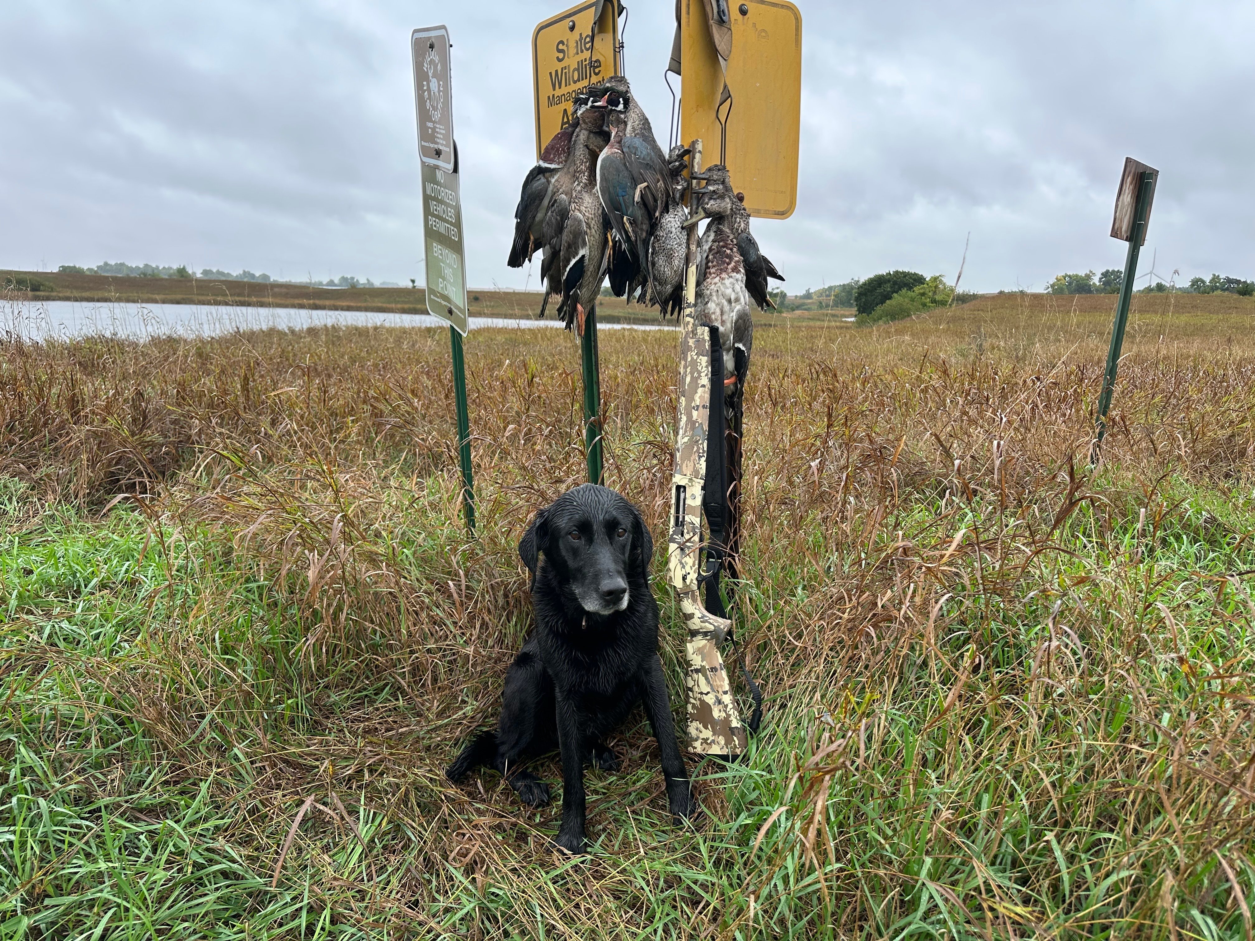 duck hunting