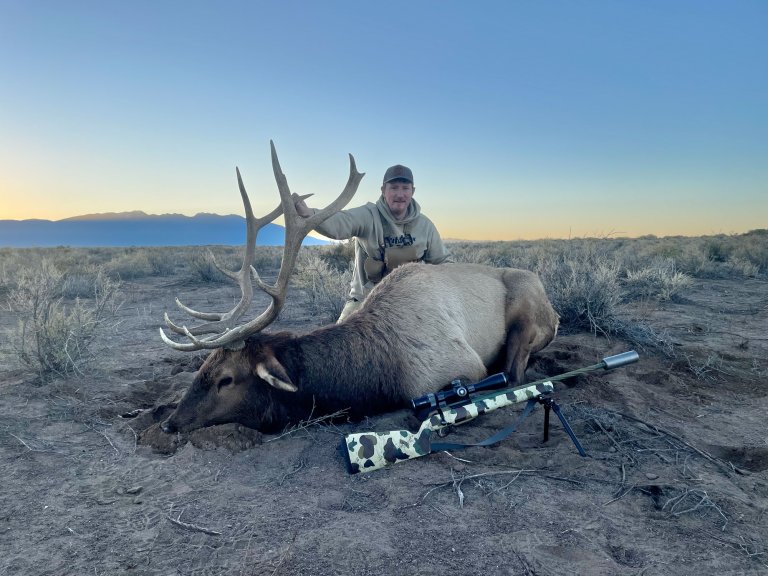 6mm Creedmoor bull elk