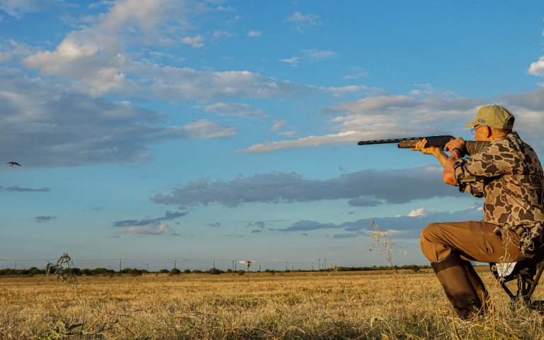 A hunter takes aim at a dove.
