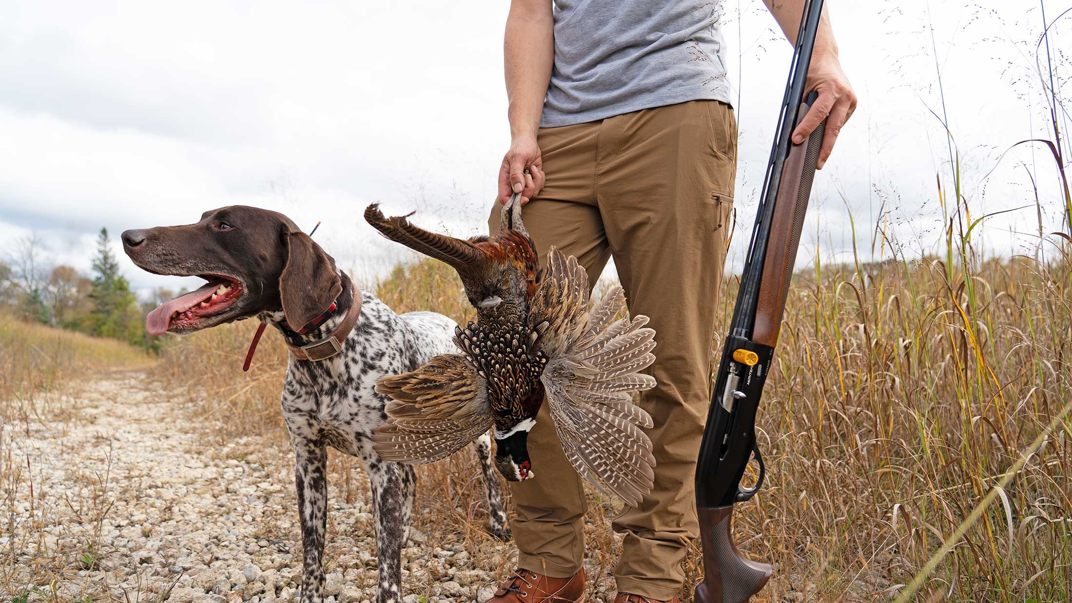 upland bird guns