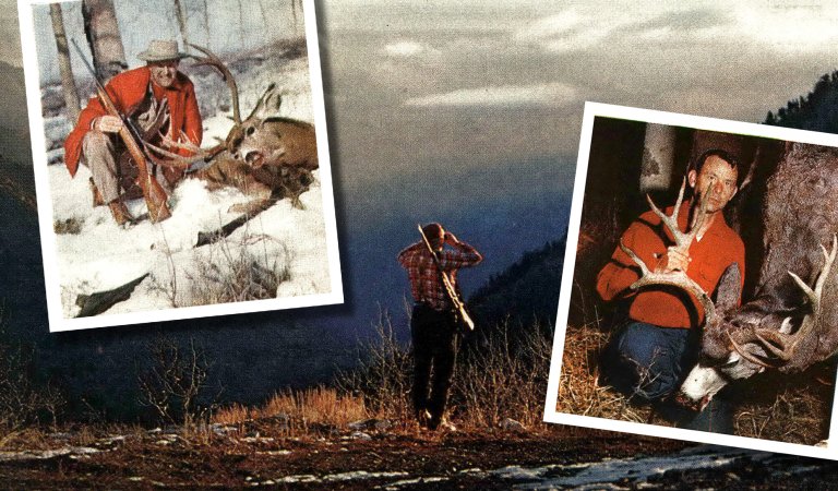 A composite image of a hunter glassing and big mule deer bucks.