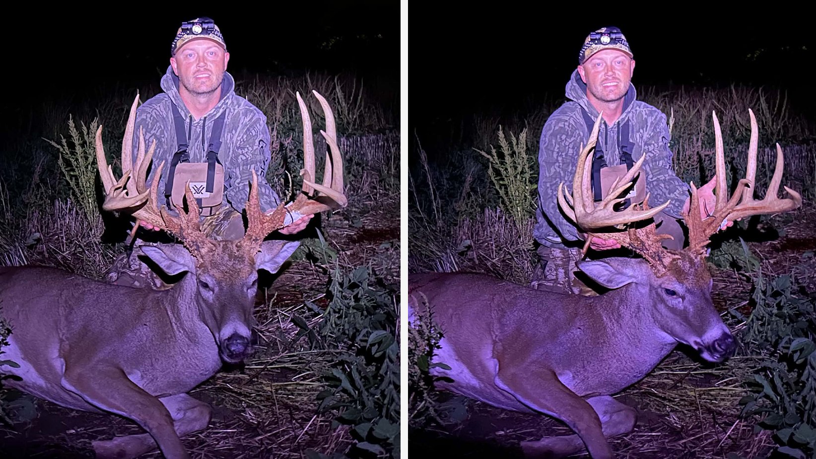 Two photos of a giant indaina buck