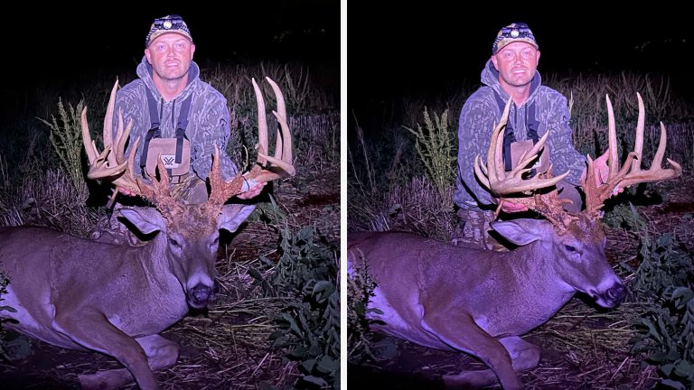 Two photos of a giant indaina buck
