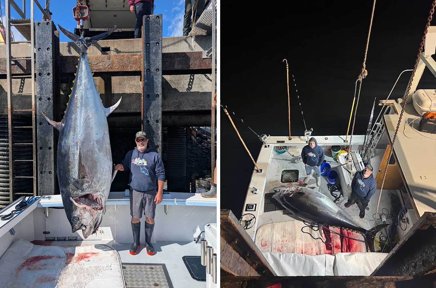 record tuna
