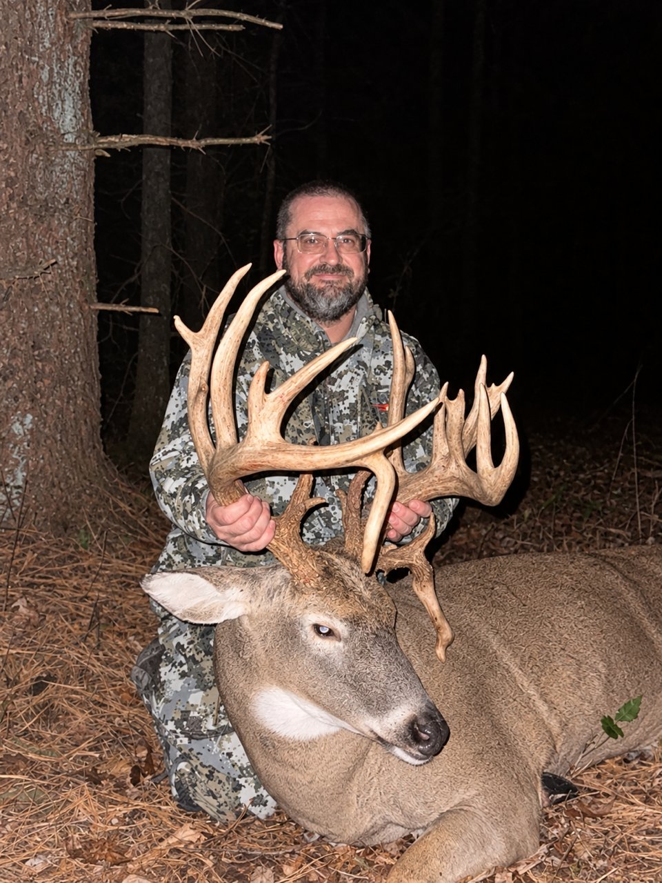 nontypical whitetail buck