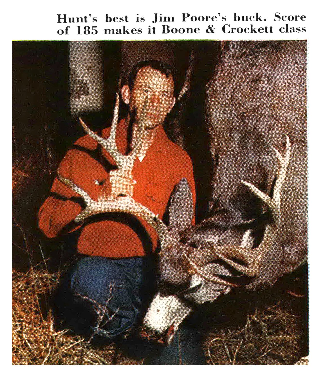 A hunter in a red shirt kneels and holds up the heavy antlers of a large mule deer buck.