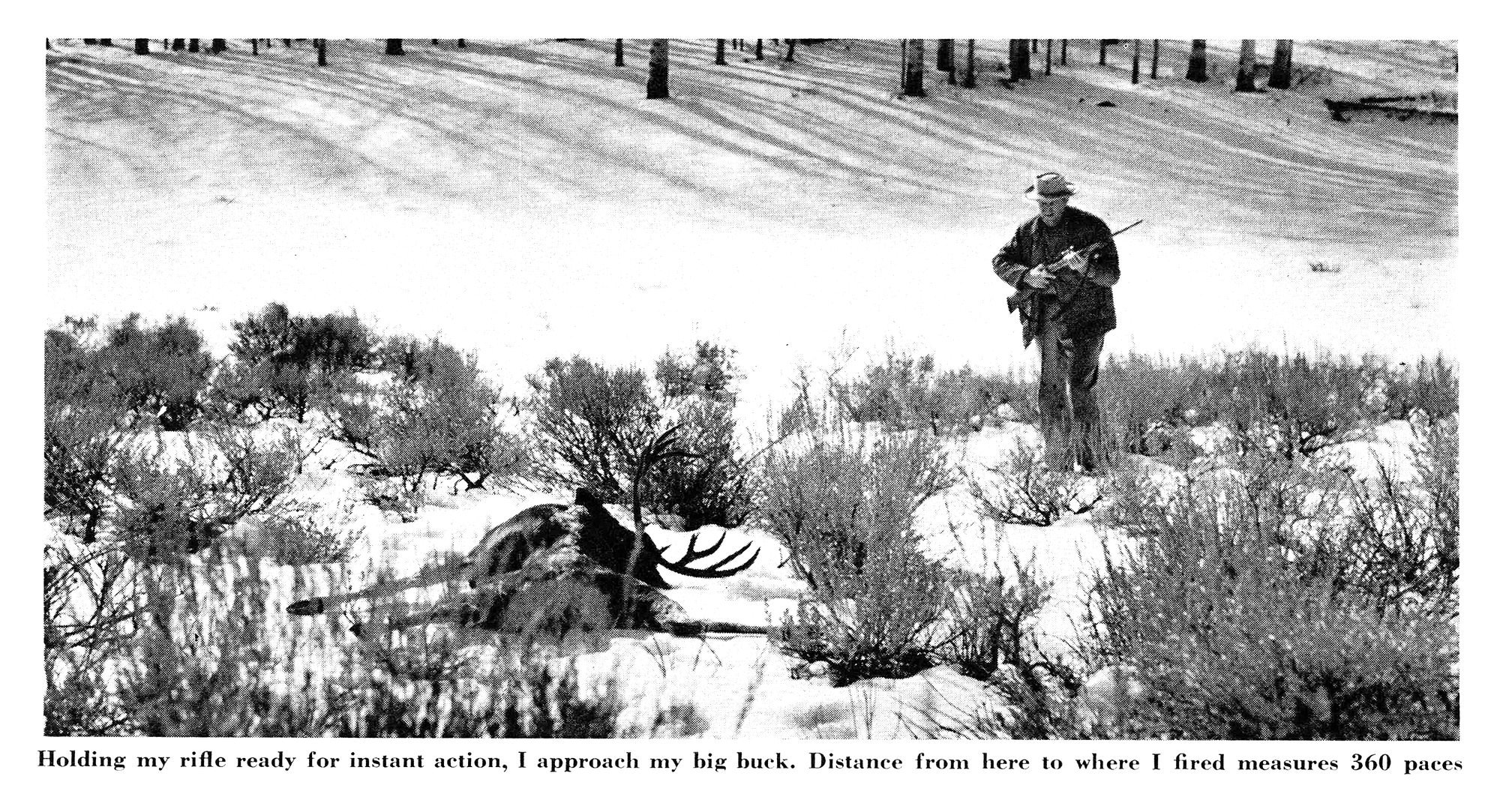 Black-and-white photo of a hunter holding a rifle at the ready as he walks through snowy sagebrush toward a dead mule deer buck.