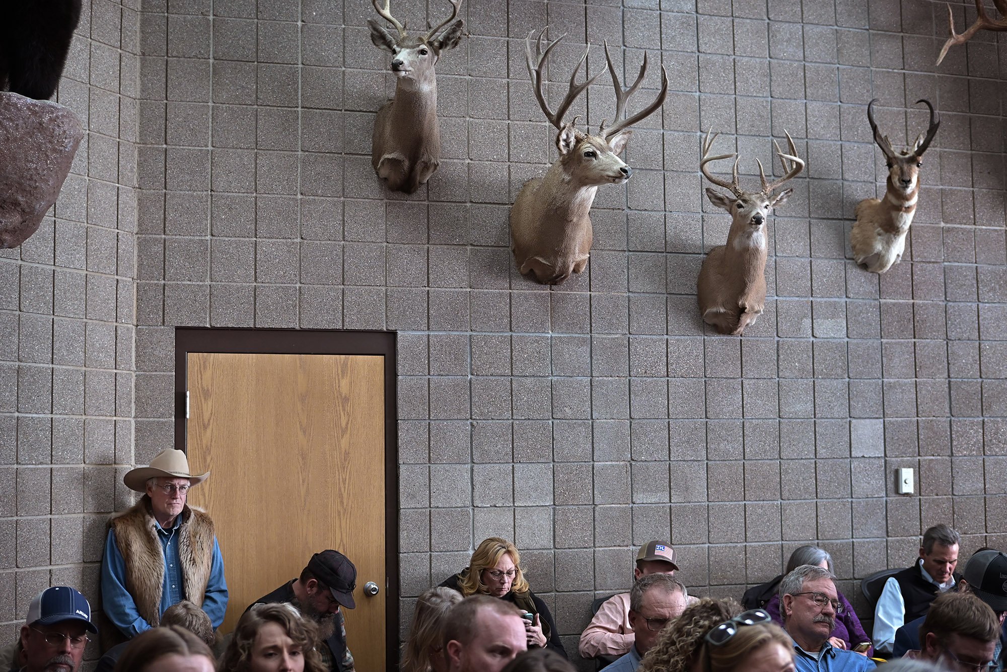 Colorado Parks and Wildlife hearing.
